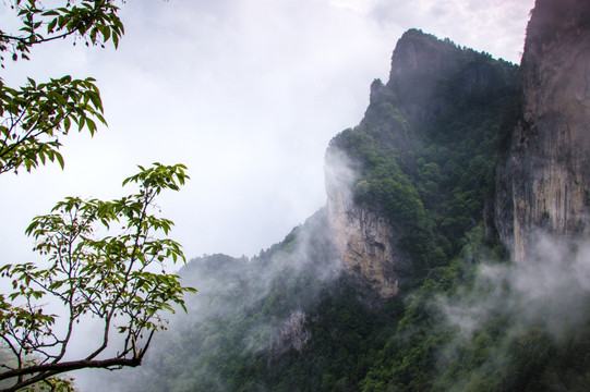 青山雾霭