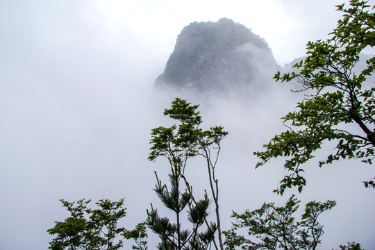 山阳天竺山云海