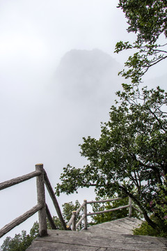 步道入雾中