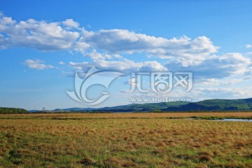 湿地草甸风景