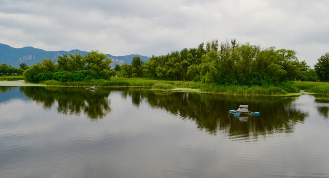 稻香湖湿地公园