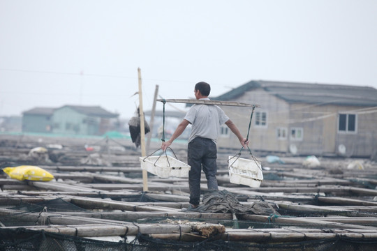 霞浦