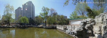 北京语言大学万国墙绿叶