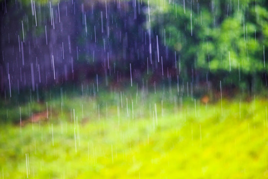 雨丝