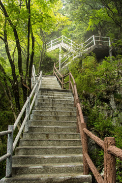 登山石阶步道