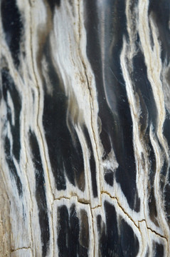 木化石纹