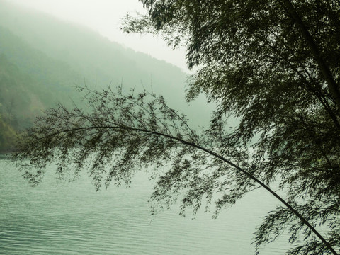 烟雨小东江