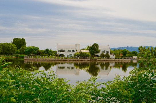 稻香湖湿地公园