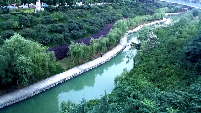 河流 绿化
