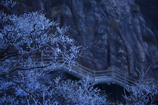 黄山雪景