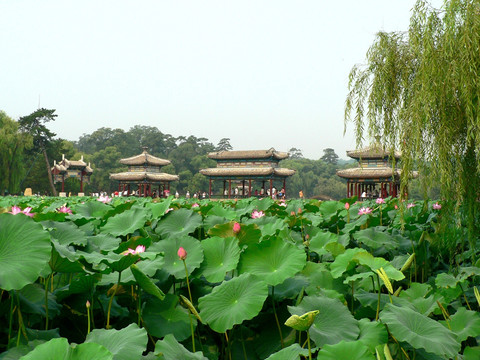 水心榭