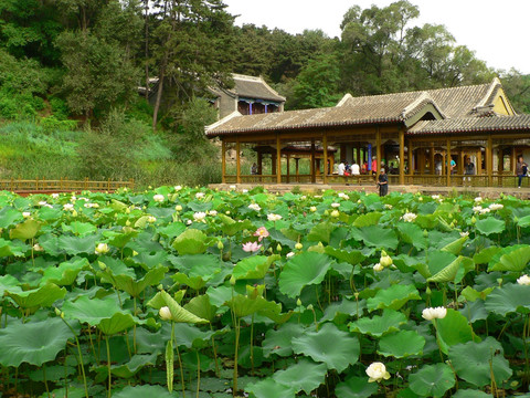 远近泉声