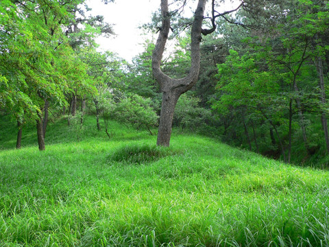 避暑山庄