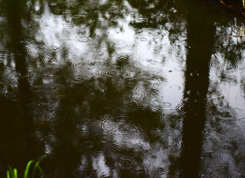 雨滴 小雨 水面 波纹