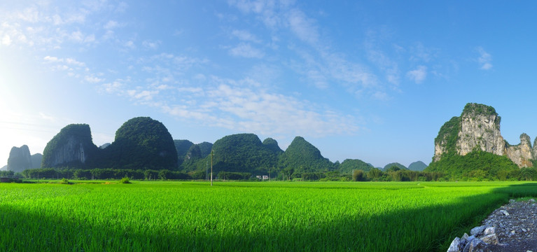 绿色田园