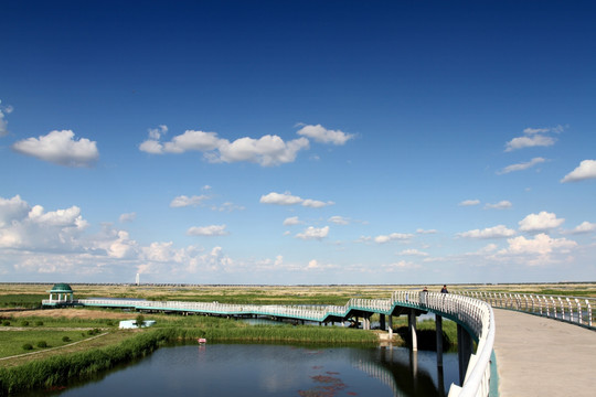 大庆 湿地