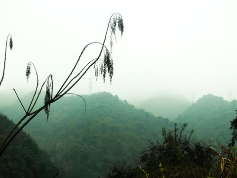 山景