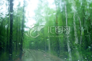 雨中的树林风景