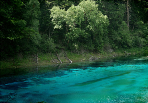 青山绿水