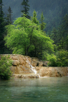 青山绿水