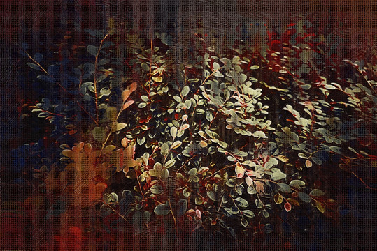 抽像畫