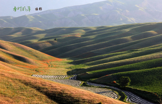 起伏的山坡 山沟