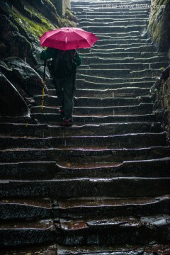 雨中行