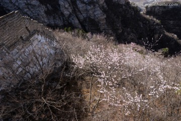 箭扣长城花季 城墙