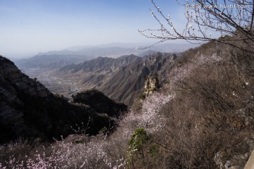 箭扣长城花季