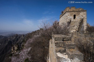 箭扣长城花季 蓝天白云 烽火台