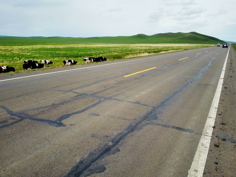 草原上的公路