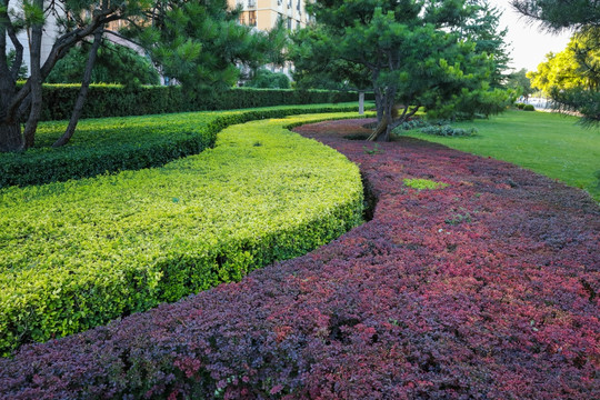 北京街道 园林绿化 城市绿化