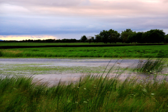 湿地傍晚河流