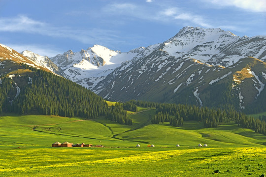 那拉提雪山草原