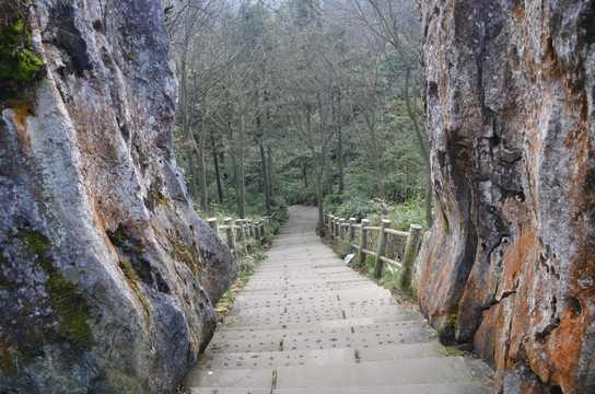 下坡的小路