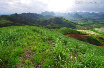 郊野风景