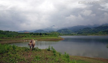 农村风景 乡村风光