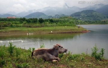 乡村美景