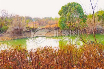 西溪湿地（高清无躁）