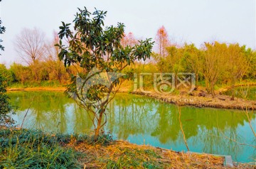 西溪湿地（高清无躁）