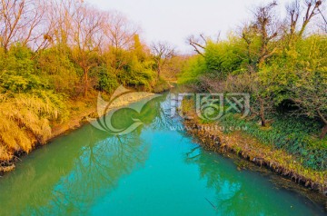 西溪湿地（高清无躁）