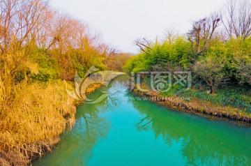 西溪湿地（高清无躁）