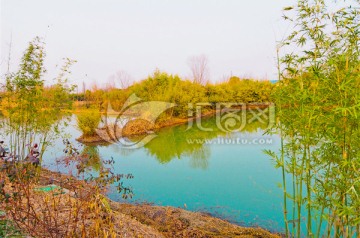 西溪湿地（高清无躁）