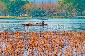 西湖风景