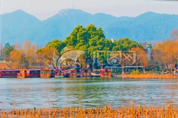 西湖风景