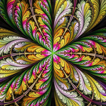花紋圖案