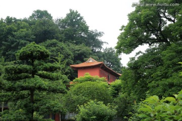 深山藏古寺