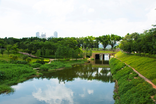 城市湖泊