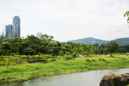 深圳都市风光