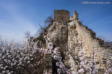 箭扣长城花季 蓝天白云 烽火台